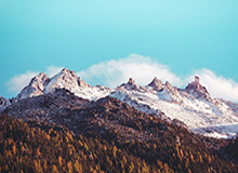 6686sports-女足亚洲杯：中国队公布名单 主力框架浮出水面